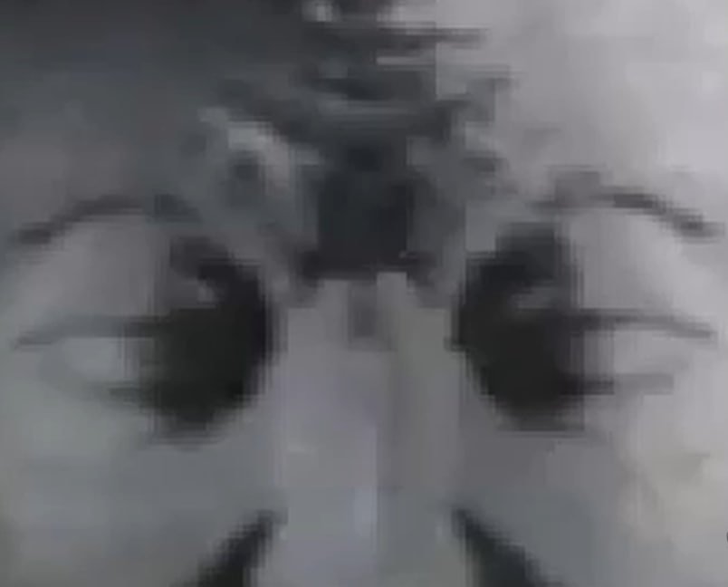 image.jpeg.74fadd20bf5602420d7a95728d765c0d.jpeg