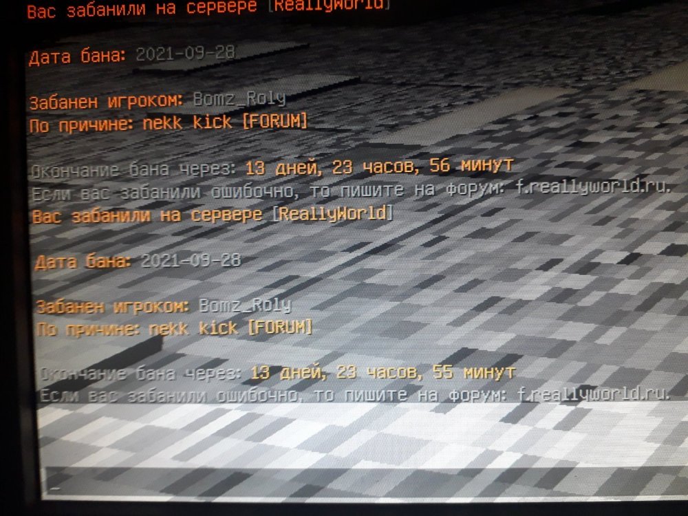 16328394231891136348487893317254.jpg