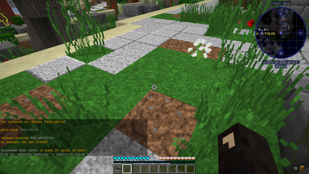 2021-09-10_21_30_15.thumb.png.15bf3d5d9cea4e46f46ef392ab42d928.png