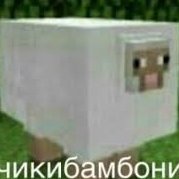 nubik_2287