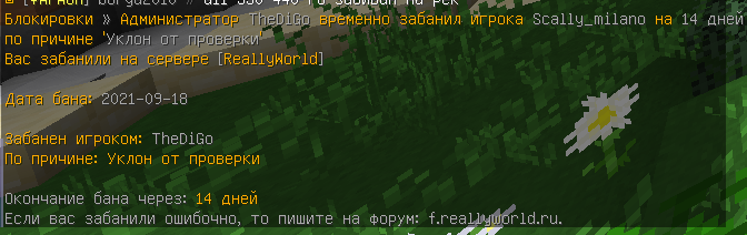 image.png.ffecdd891a78619677a17da4477d20f4.png