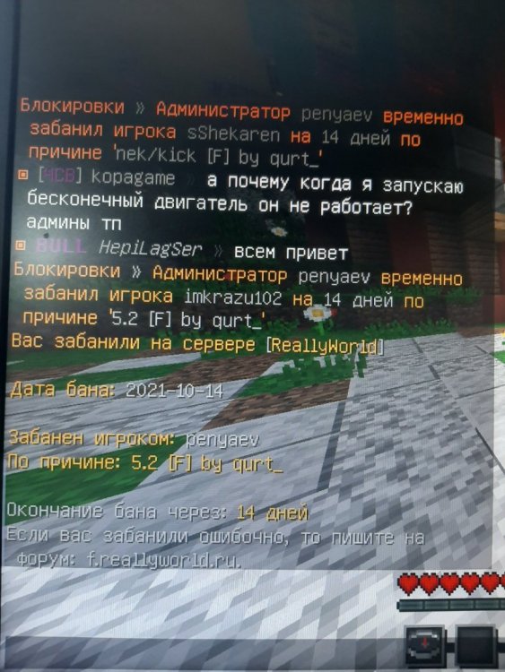 16342069239491062398873798966109.jpg
