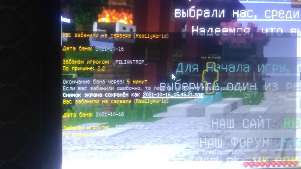 1634388744439-229450418.jpg