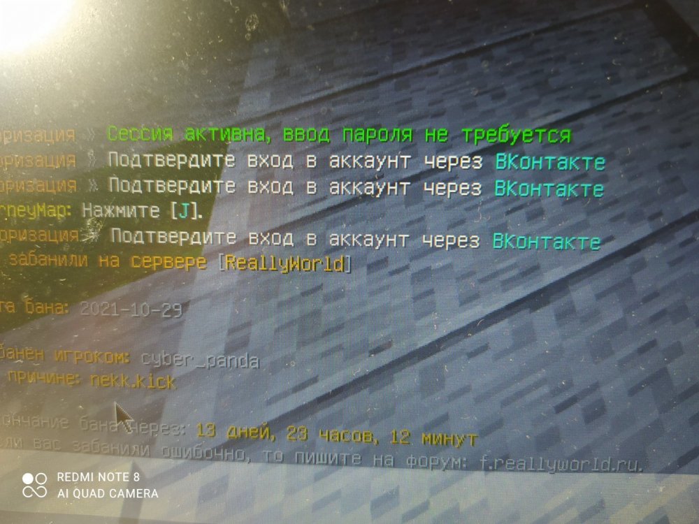 1635529290685..jpg