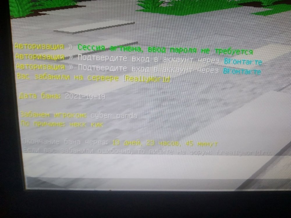 dDzewi-YCrs.jpg