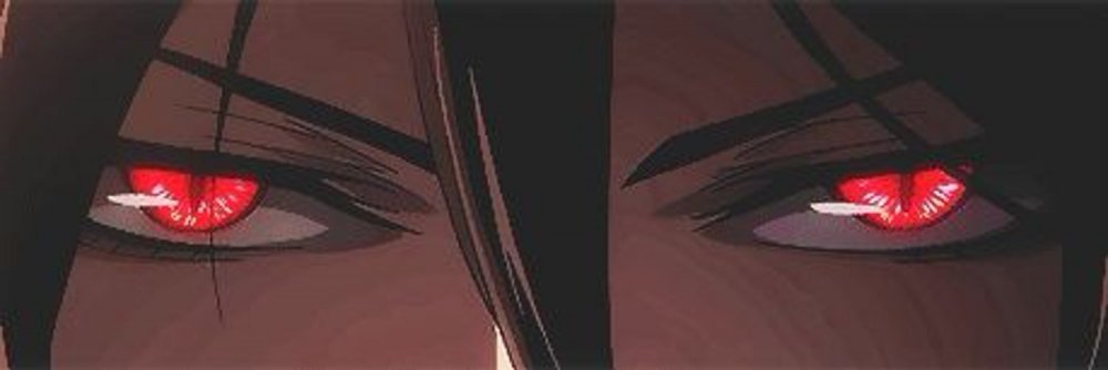 1500x500.thumb.jpg.dad9ab76cf9917911c8540e7e11d8294.jpg