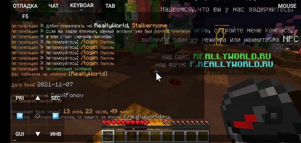 Screenshot_20211107-222601_PojavLauncher (Minecraft Java Edition for Android).jpg