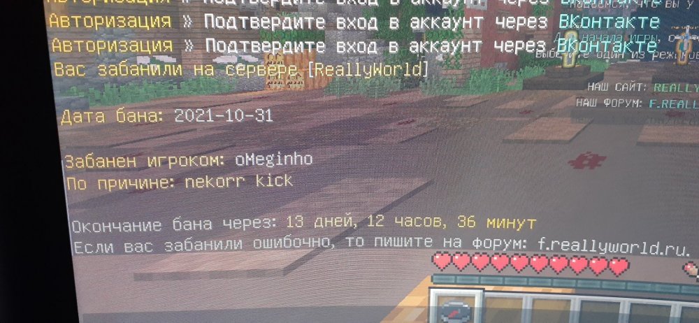 16357516345448074876510462156526.jpg