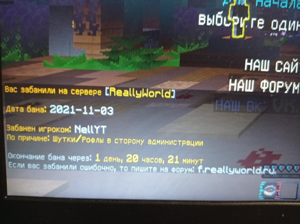 16359324482958825407240026855711.jpg