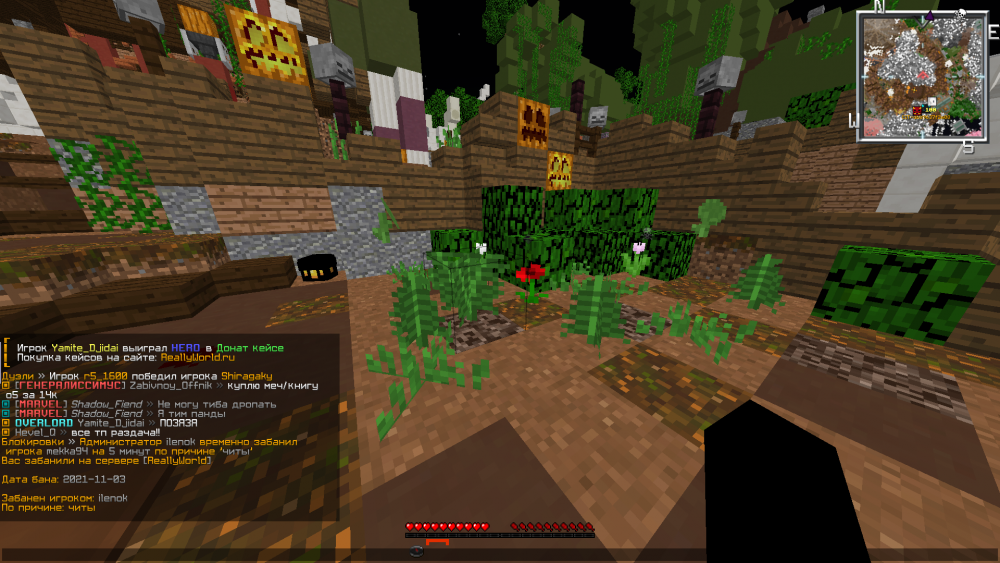 2021-11-03_23_33_15.thumb.png.744ff1bc18d63698bb1638d2faea280a.png