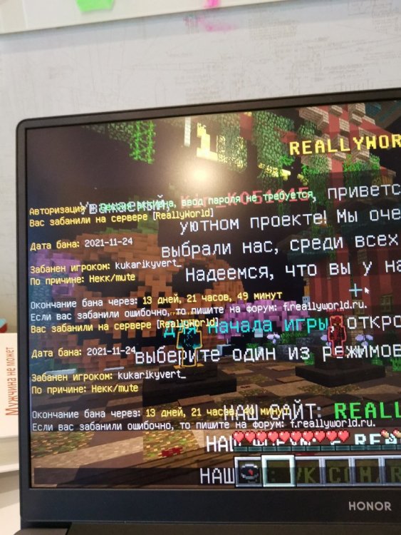 IMG_20211124_151353.jpg