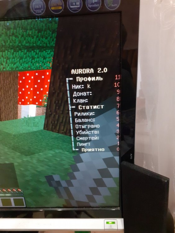 16386169747547096244795002671182.jpg
