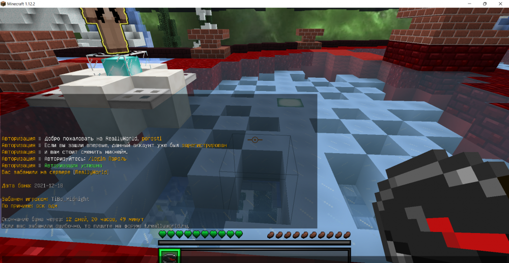 Minecraft 1.12.2 20.12.2021 19_44_31.png