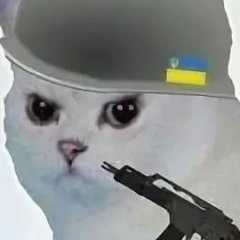 arikpro_ss