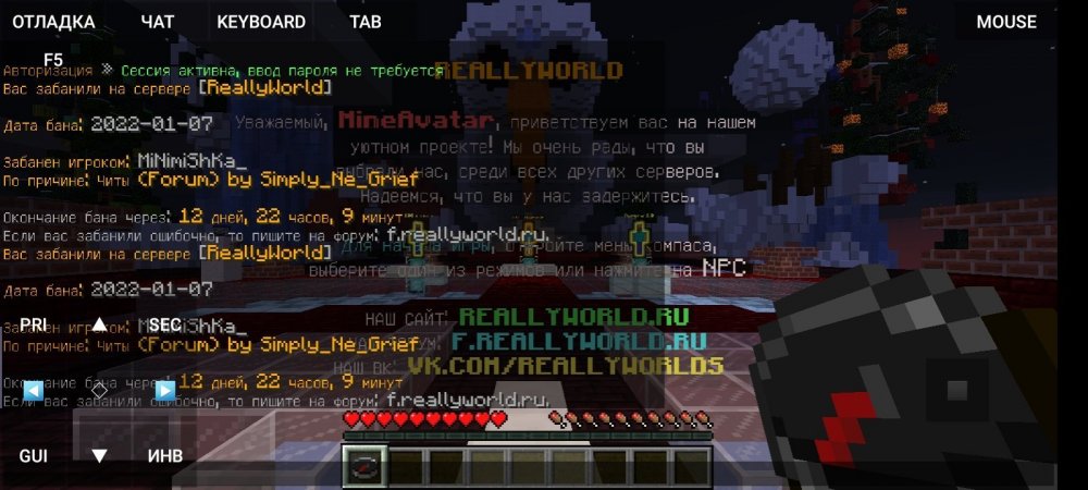 1216732228_Screenshot_20220108-150417_PojavLauncher(MinecraftJavaEditionforAndroid).thumb.jpg.c0b85f24327a9ff741cab0cb639671d2.jpg