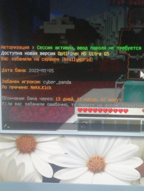 16413943274464497505175052326103.jpg