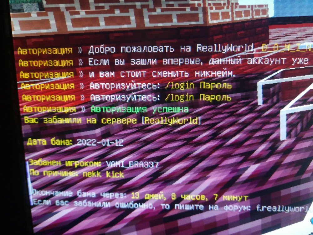 1642055723499.thumb.jpg.a1f3f16d948a805f029fed0e33b6d095.jpg