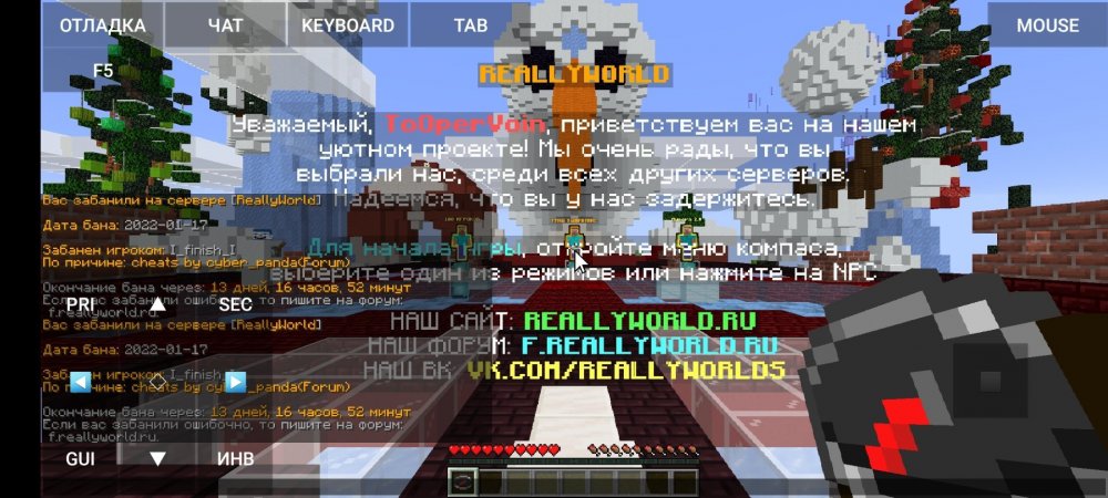 1848228005_Screenshot_20220118-104110_PojavLauncher(MinecraftJavaEditionforAndroid).thumb.jpg.88e5aed8ba819e30e91bd0d8c977cf63.jpg