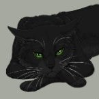 Котяра