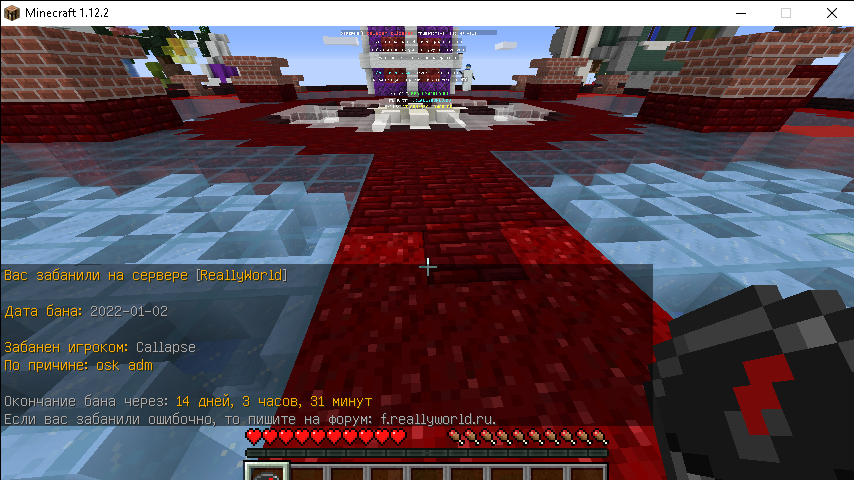688838492_Minecraft1_12_205_01.202214_37_44.png.5b5745361f119d740f431f29ee2814b1.png