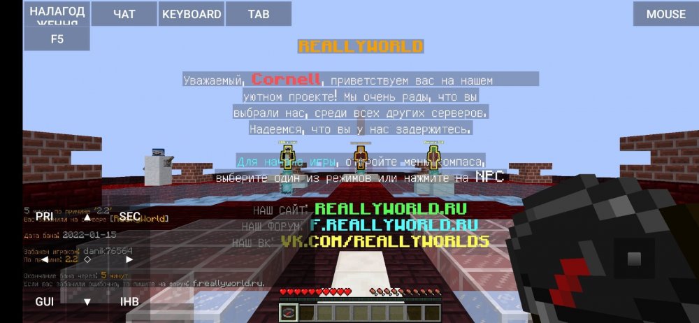 Screenshot_2022-01-15-09-32-42-181_net.kdt.pojavlaunch.jpg