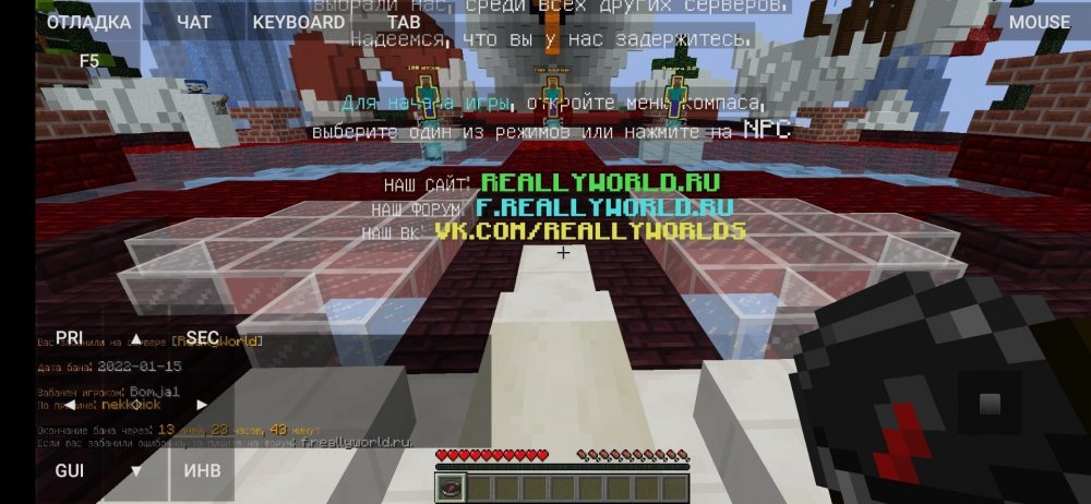 Screenshot_2022-01-15-13-33-53-073_net.kdt.pojavlaunch.jpg