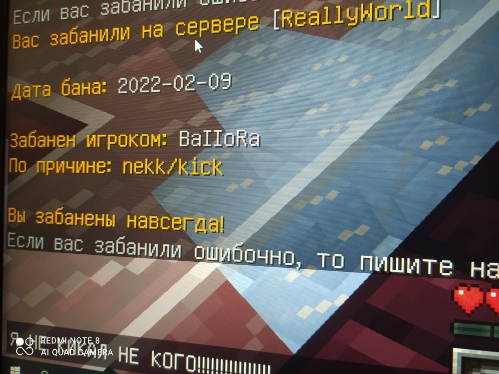 1644406183184..jpg