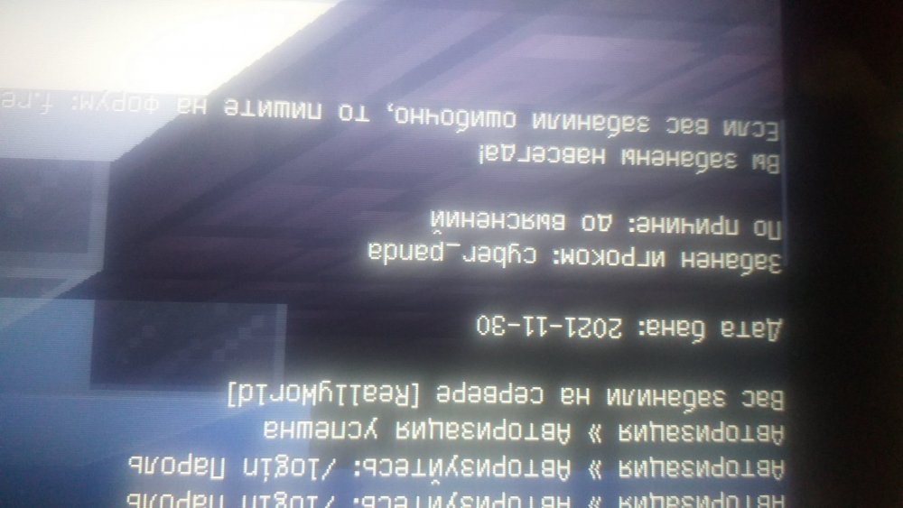 16445179965001564014513517961524.jpg