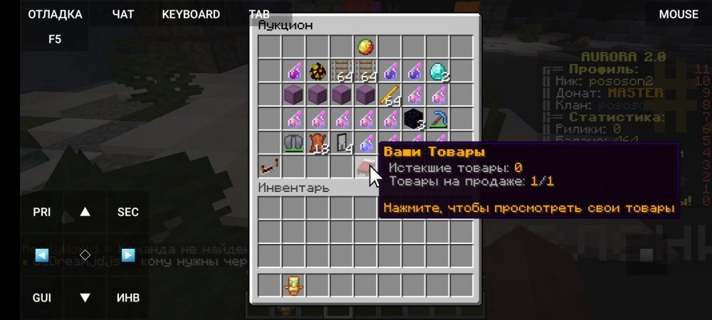 Screenshot_20220203-183448_PojavLauncher (Minecraft Java Edition for Android).jpg