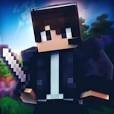 MMAENCRAFTERR