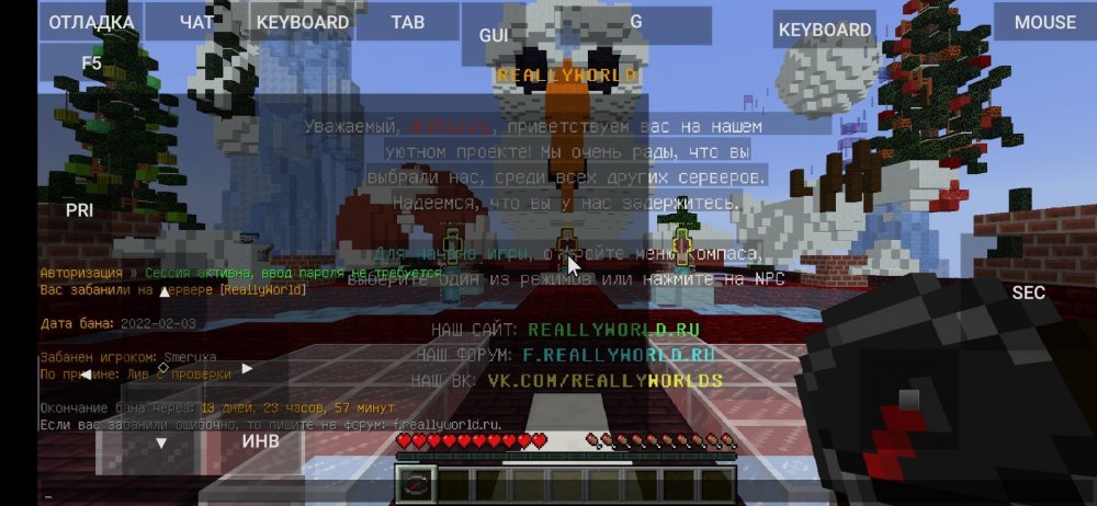 Screenshot_2022-02-03-14-26-34-831_net.kdt.pojavlaunch.jpg