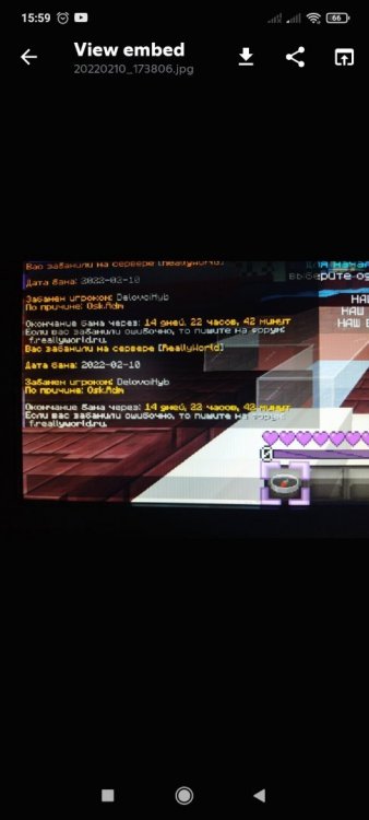 Screenshot_2022-02-10-15-59-42-632_com.discord.jpg