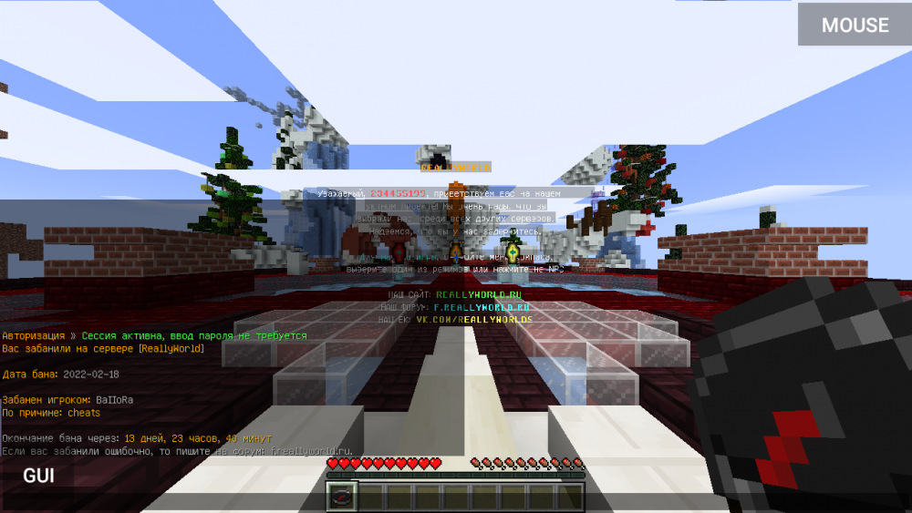 Screenshot_2022-02-18-14-06-44-635_net_kdt.pojavlaunch.thumb.png.29e4c27f2413716e6901997a4b6977ce.png