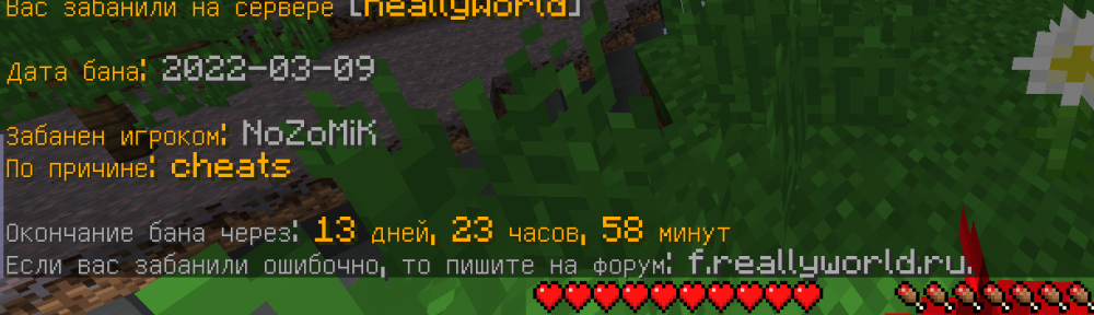изображение_2022-03-09_184052.png