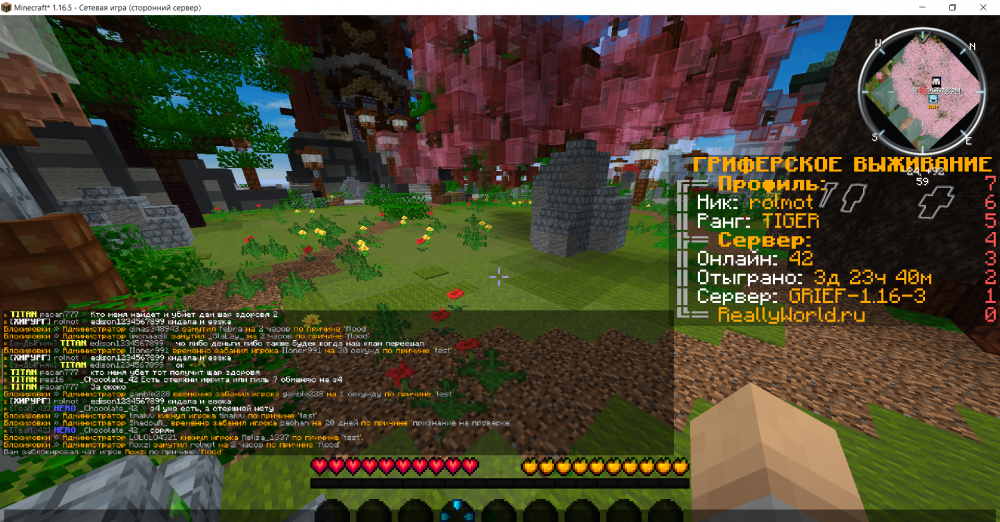 157575392_Minecraft_1_16.5-()24_03.202215_32_45.thumb.png.772a5310dc6d8f5ed958c4c0f5e87229.png