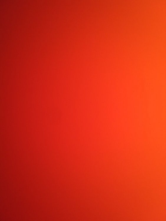16472824473261958608334.jpg