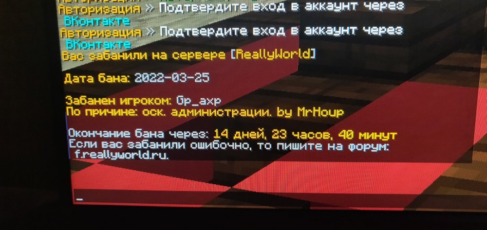 16482235650927842600479394692462.jpg