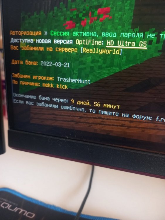 16482912524115494139186321242342.jpg