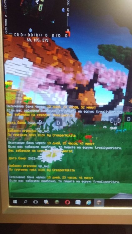 16483922080772533376096984445427.jpg