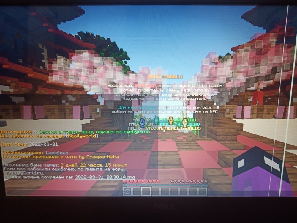 16487585205222495561199731996428.thumb.jpg.5e4b7c2fc81e4ca07d7b4d717e6d357f.jpg
