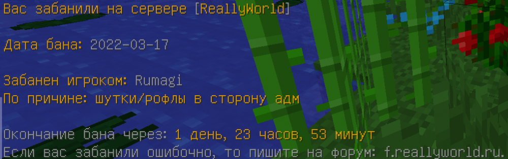 2022-03-17_16.47.51.png
