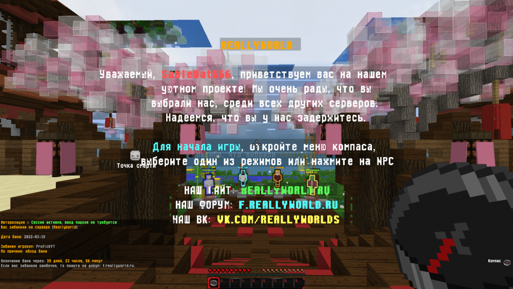 2022-03-19_18_54_21.thumb.png.6f5fbe37be36a426db4edb03a220539a.png