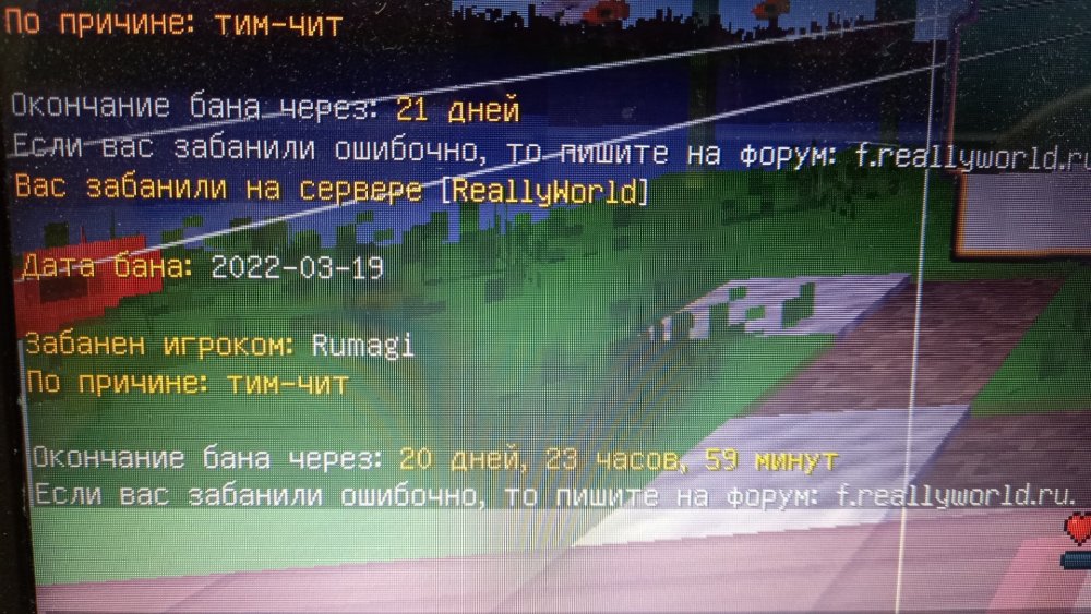 20220319_131835.jpg