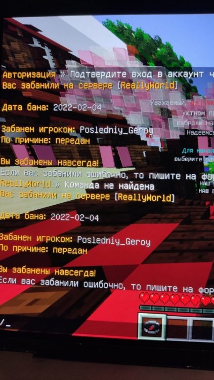 733a8313-aa3f-4321-9726-c1e8e8e72417.jpg