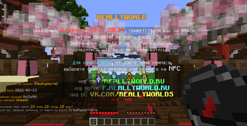 image.thumb.png.f2a005b196cc42a083460469d3ec4bde.png