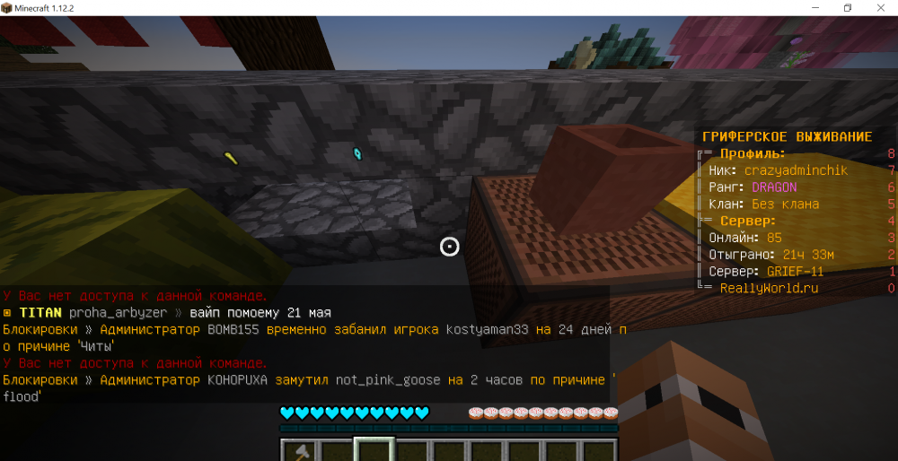 12309167_Minecraft1_12_223_04.202219_46_26.thumb.png.abb159b2406ff5e9e43f1470e9477571.png