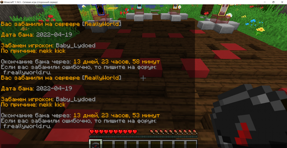 1572905727_Minecraft_1_16.5-()19_04.202216_03_33.thumb.png.b7deee744f3d2bb60063f7c0f6a329d4.png