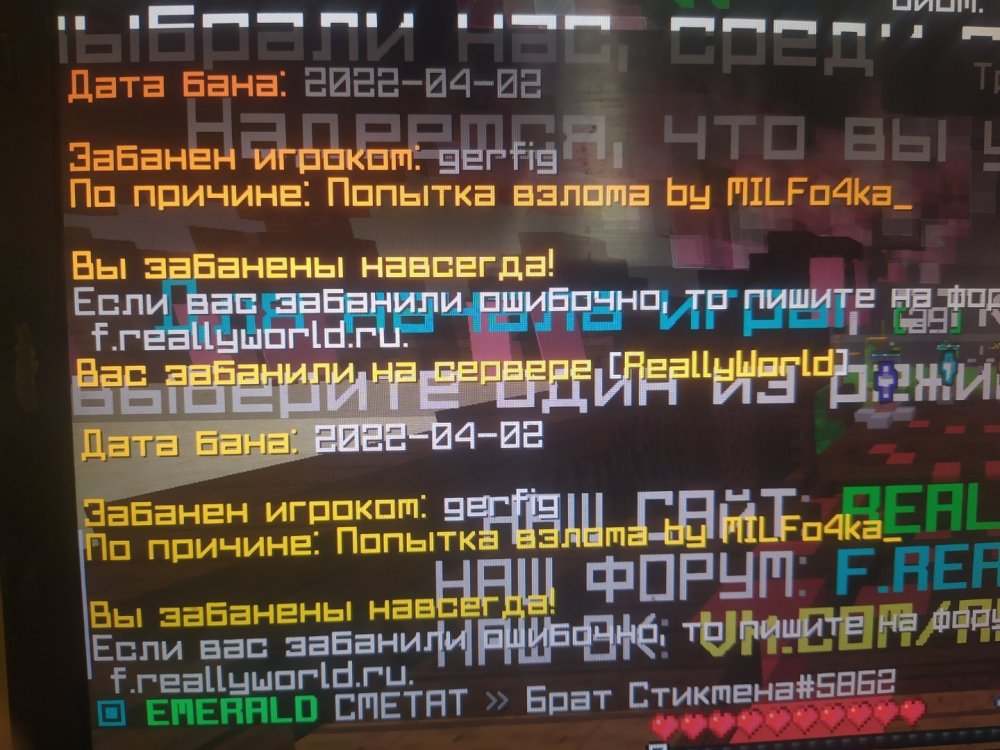 16488974299451519515104674397953.jpg