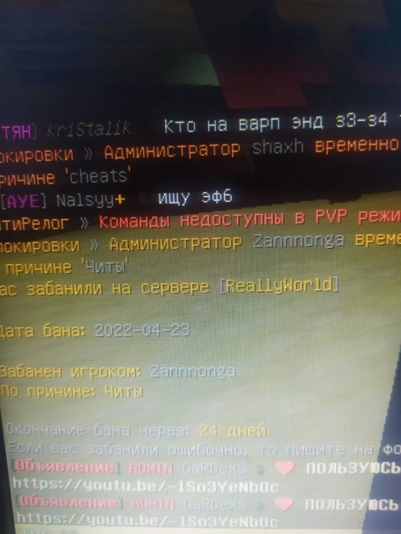 1650720450381..jpg