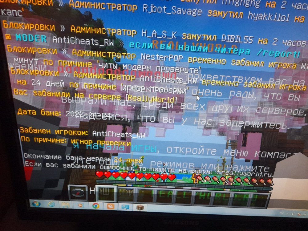 16507945723788776999600838184507.jpg